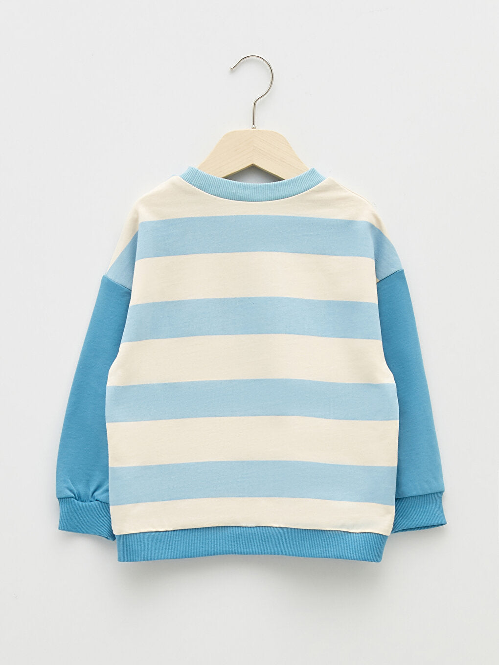 Crew Neck Printed Long Sleeve Baby Boy Sweatshirt