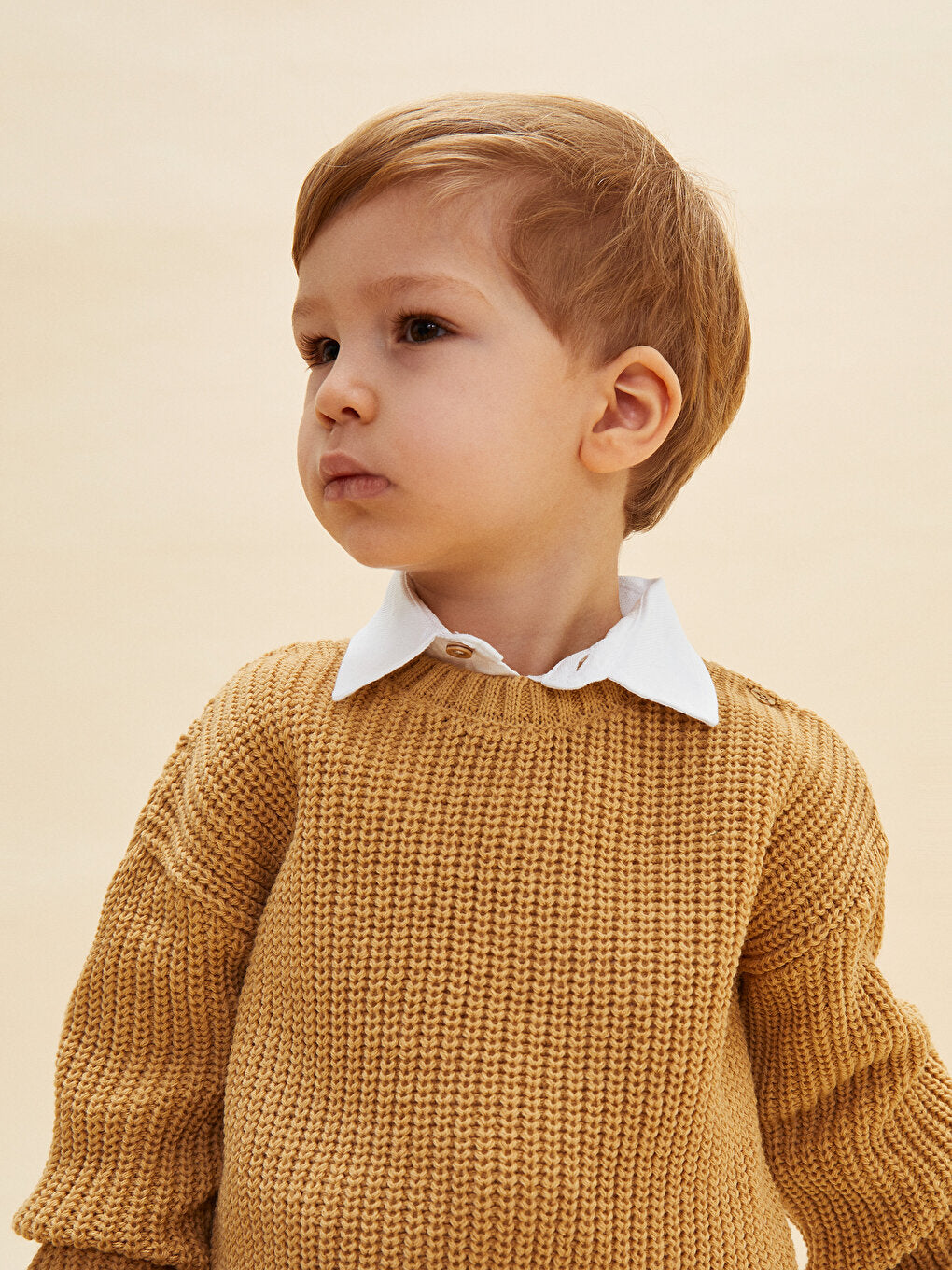 Crew Neck Long Sleeve Basic Baby Boy Knitwear Sweater