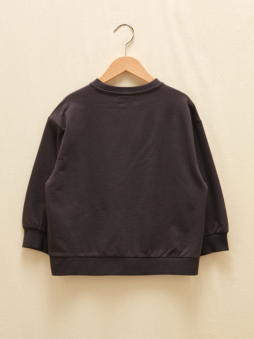 Crew Neck Basic Long Sleeve Organic Cotton Boy's Sweatshirt