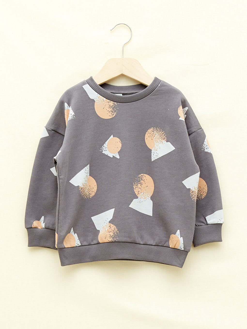 Crew Neck Long Sleeve Printed Organic Cotton Baby Boy Sweatshirt