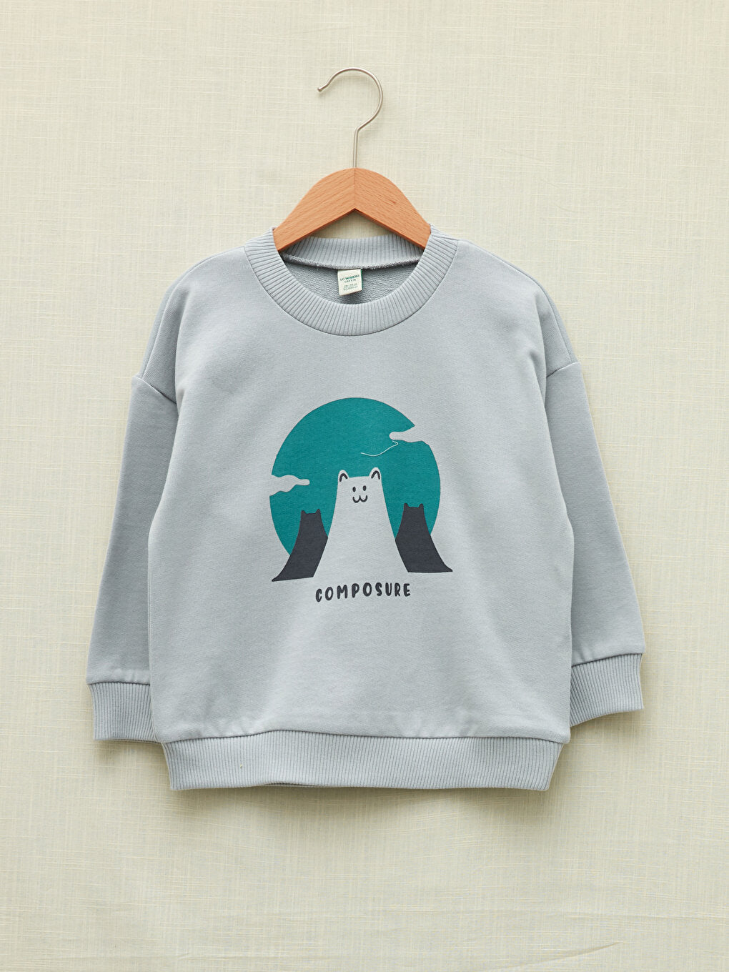 Crew Neck Long Sleeve Printed Organic Cotton Baby Boy Sweatshirt