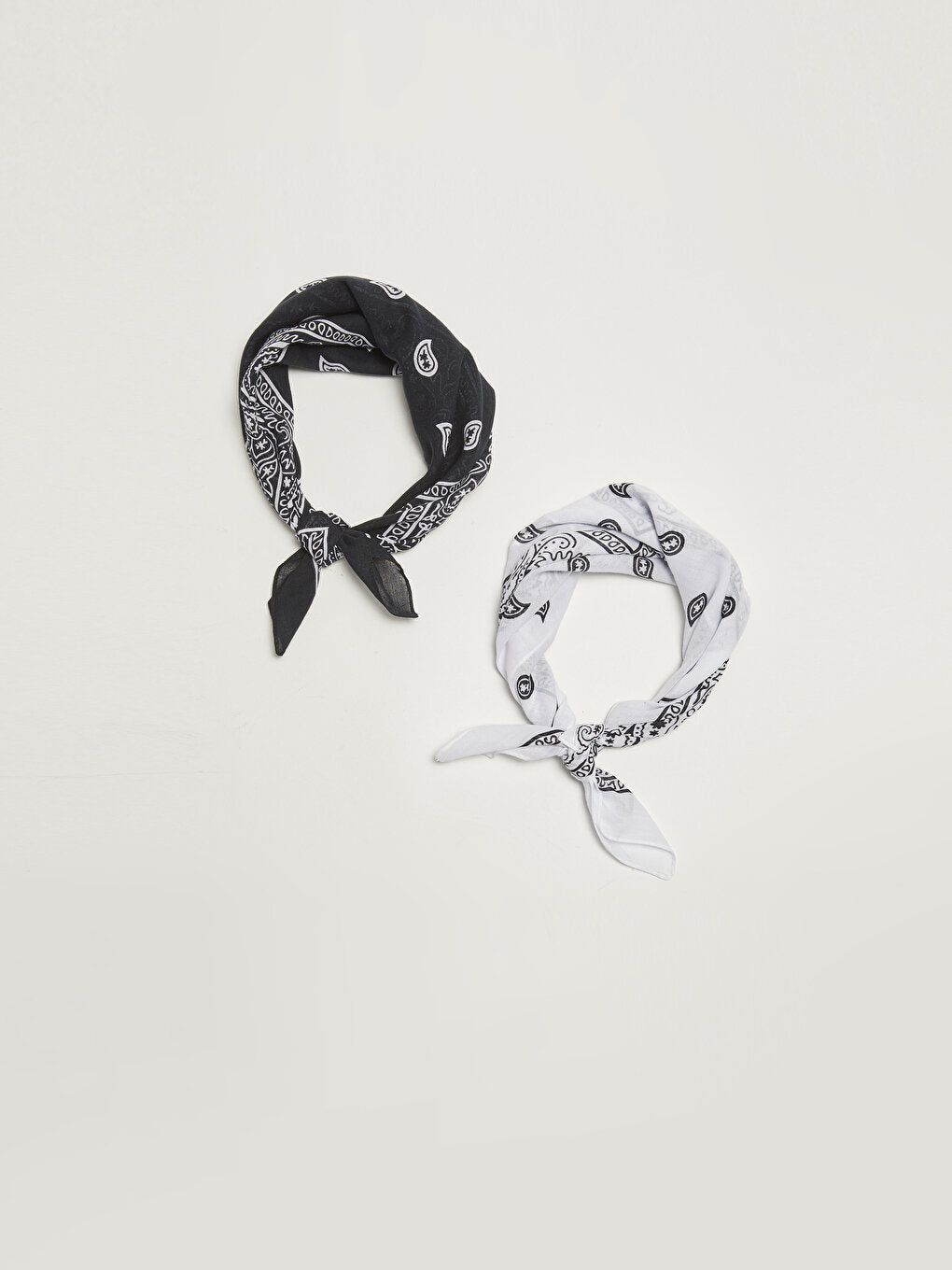 Paisley Patterned Men's Bandana 2-pack