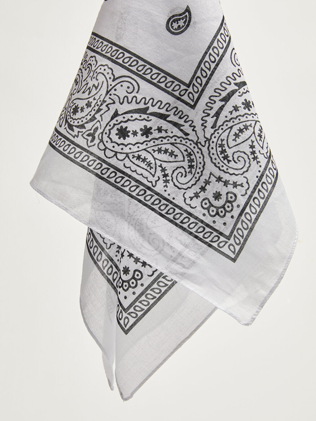 Paisley Patterned Men's Bandana 2-pack