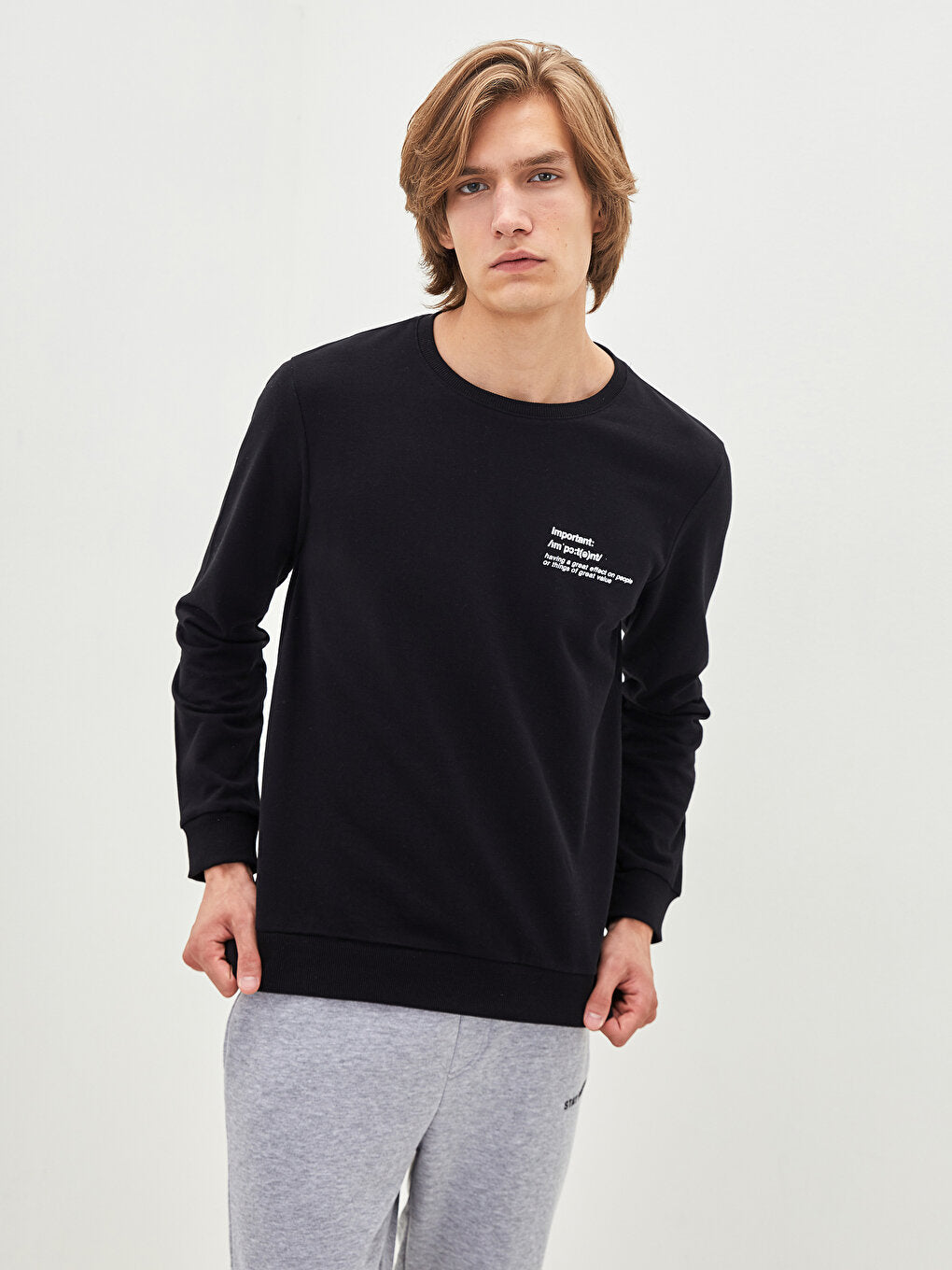 Crew Neck Long Sleeve Printed Men's Sweatshirt