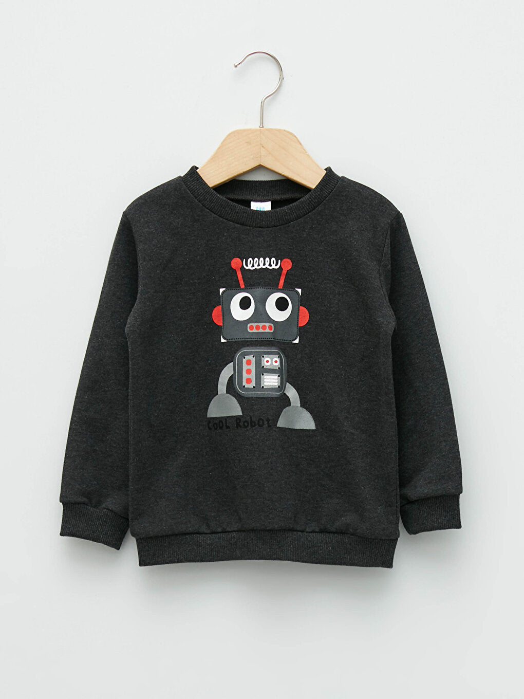 Crew Neck Long Sleeve Printed Baby Boy Sweatshirt 2-pack