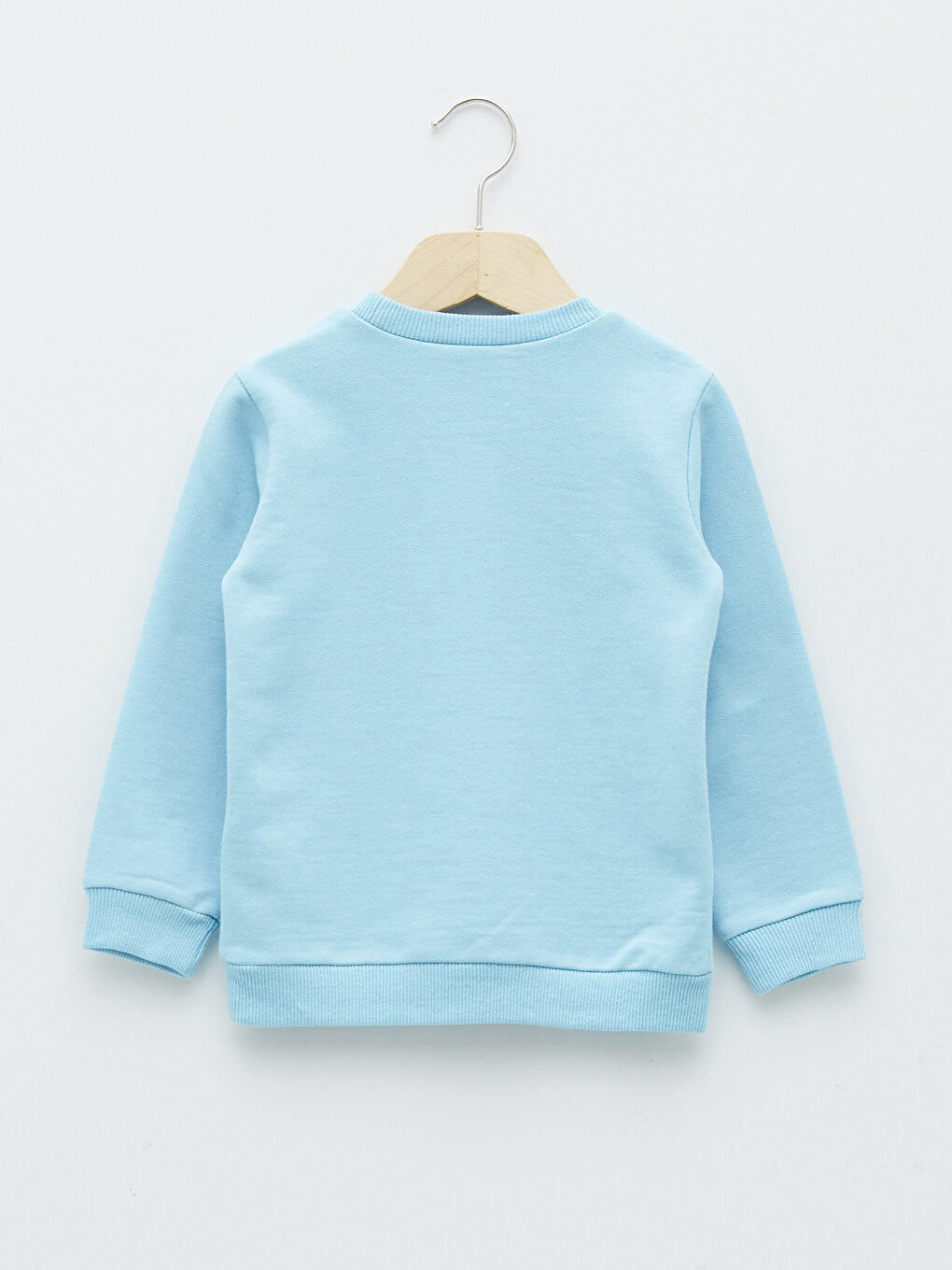 Crew Neck Long Sleeve Printed Baby Boy Sweatshirt