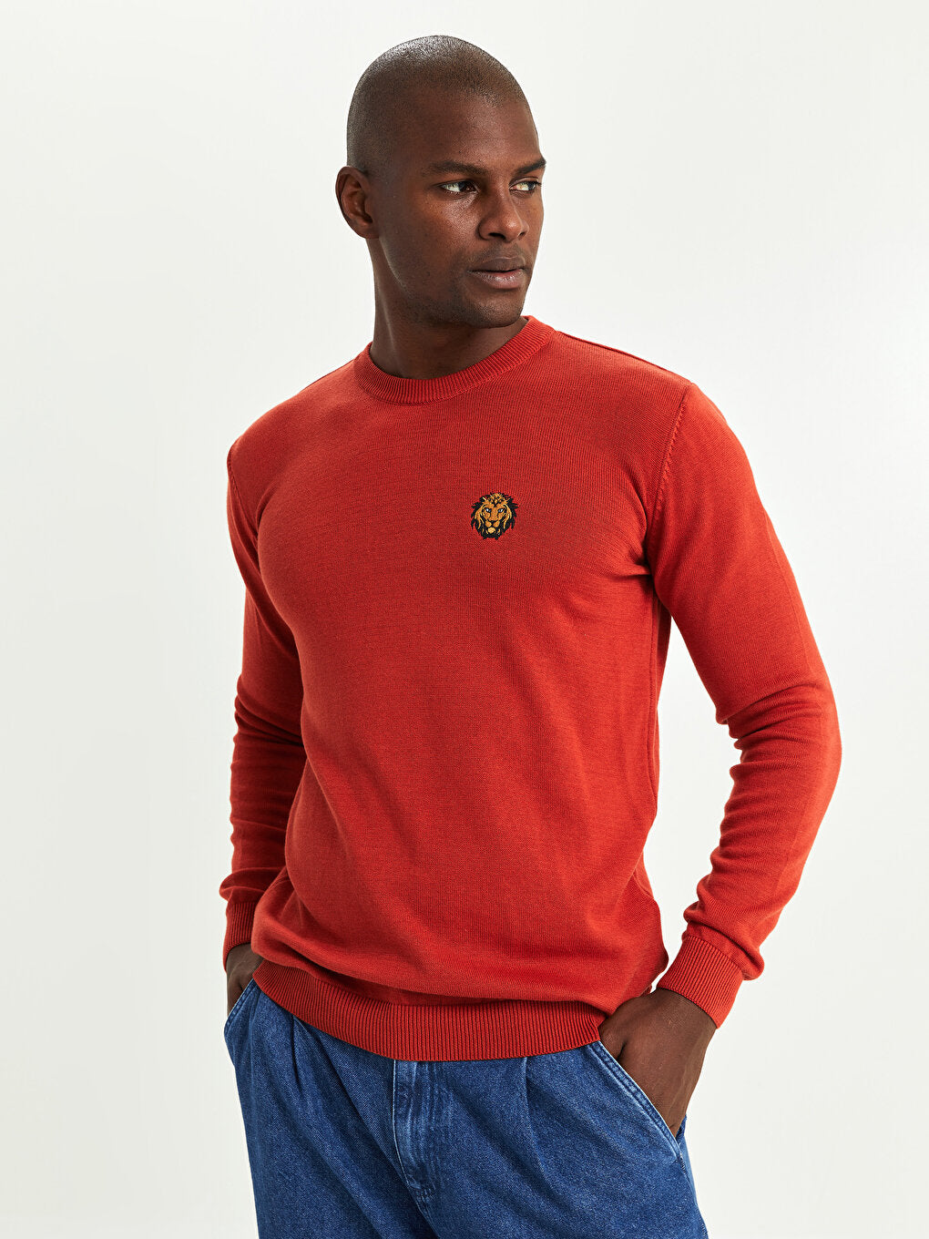 Crew Neck Long Sleeve Men's Knitwear Sweater