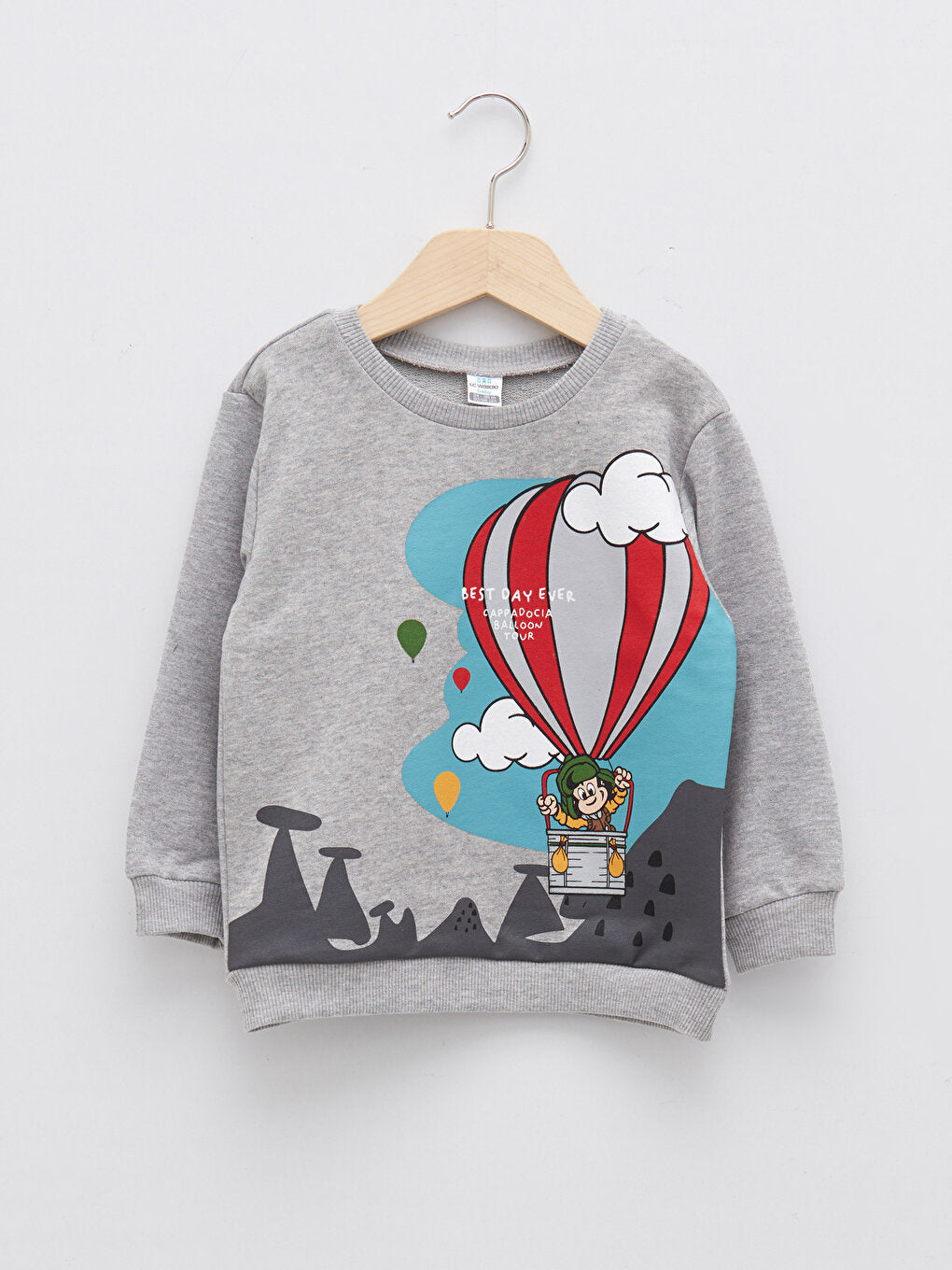 Crew Neck Long Sleeve Nostalgic Monkey Printed Baby Boy Sweatshirt