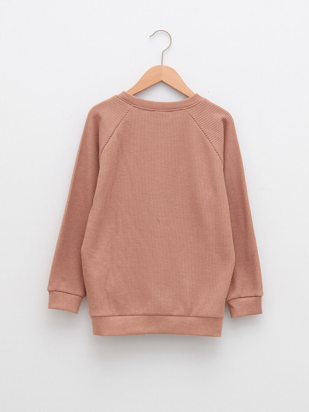 Crew Neck Basic Long Sleeve Boy's Sweatshirt