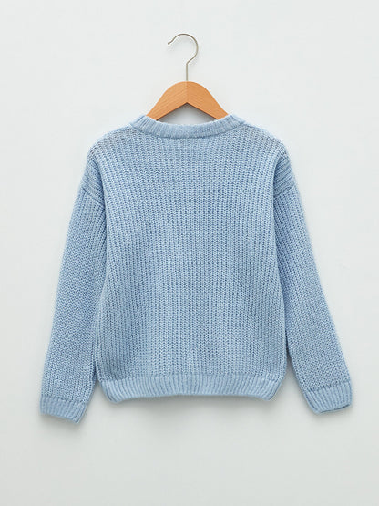 Crew Neck Basic Long Sleeve Girl's Knitwear Sweater