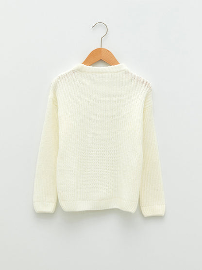 Crew Neck Basic Long Sleeve Girl's Knitwear Sweater