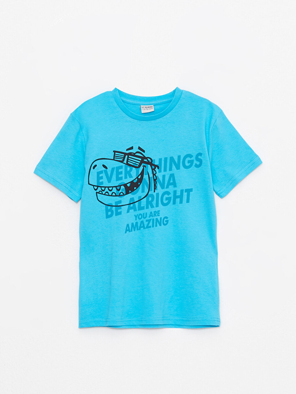 Crew Neck Printed Short Sleeve Cotton Boys' T-Shirt