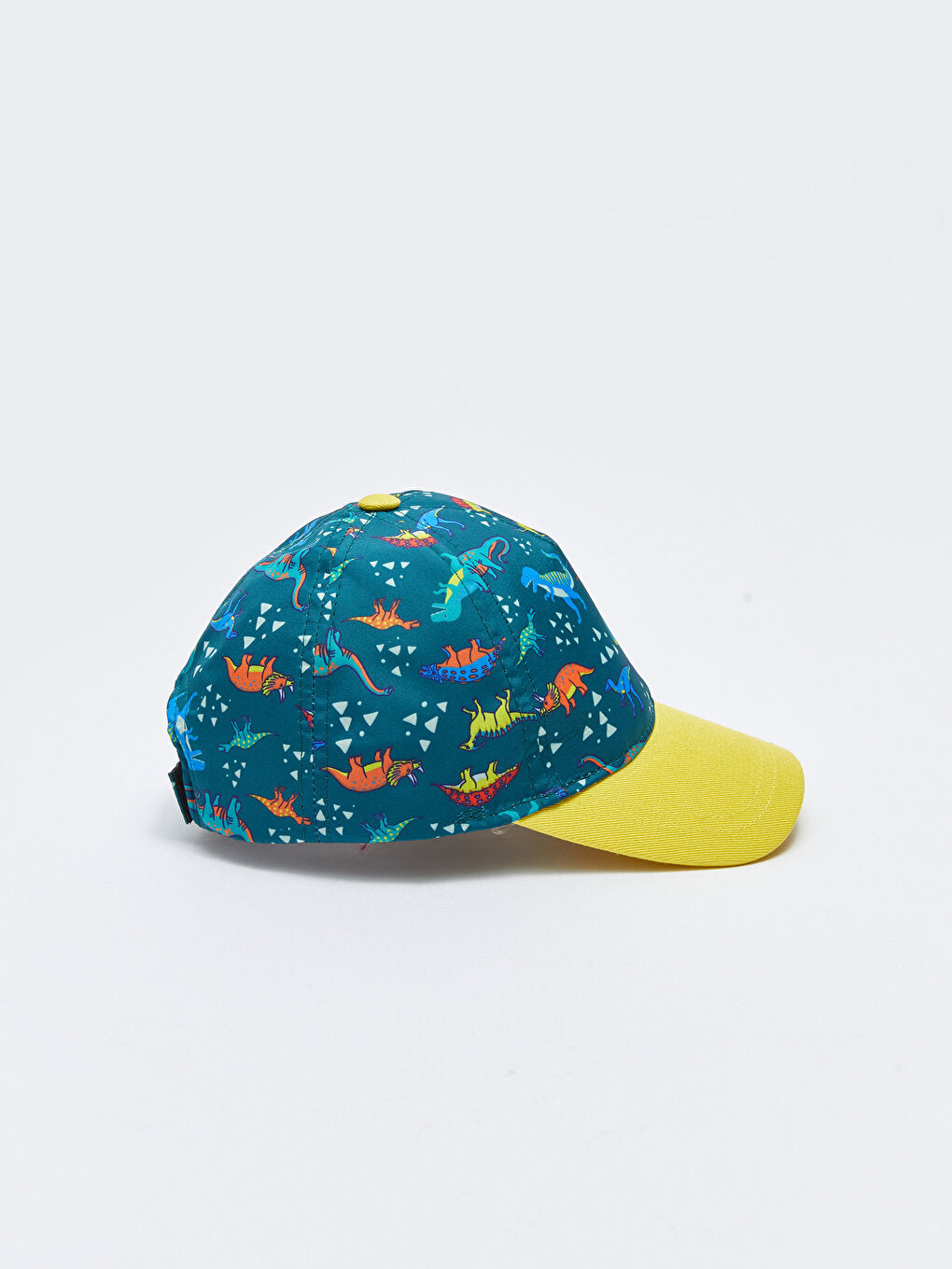 Dinosaur Printed Boy's Cap Hat