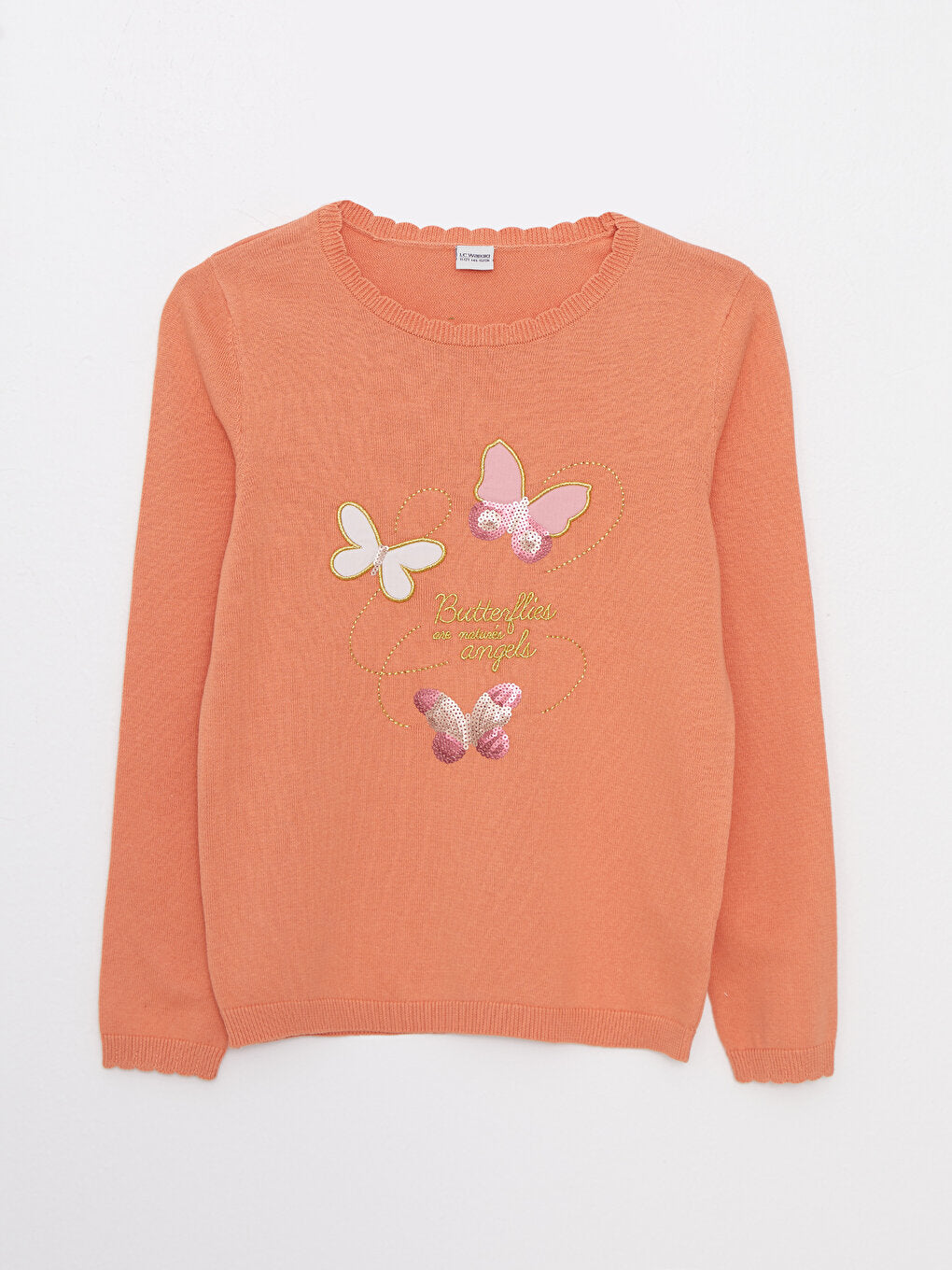 Crew Neck Embroidery Detailed Long Sleeve Girl's Knitwear Sweater