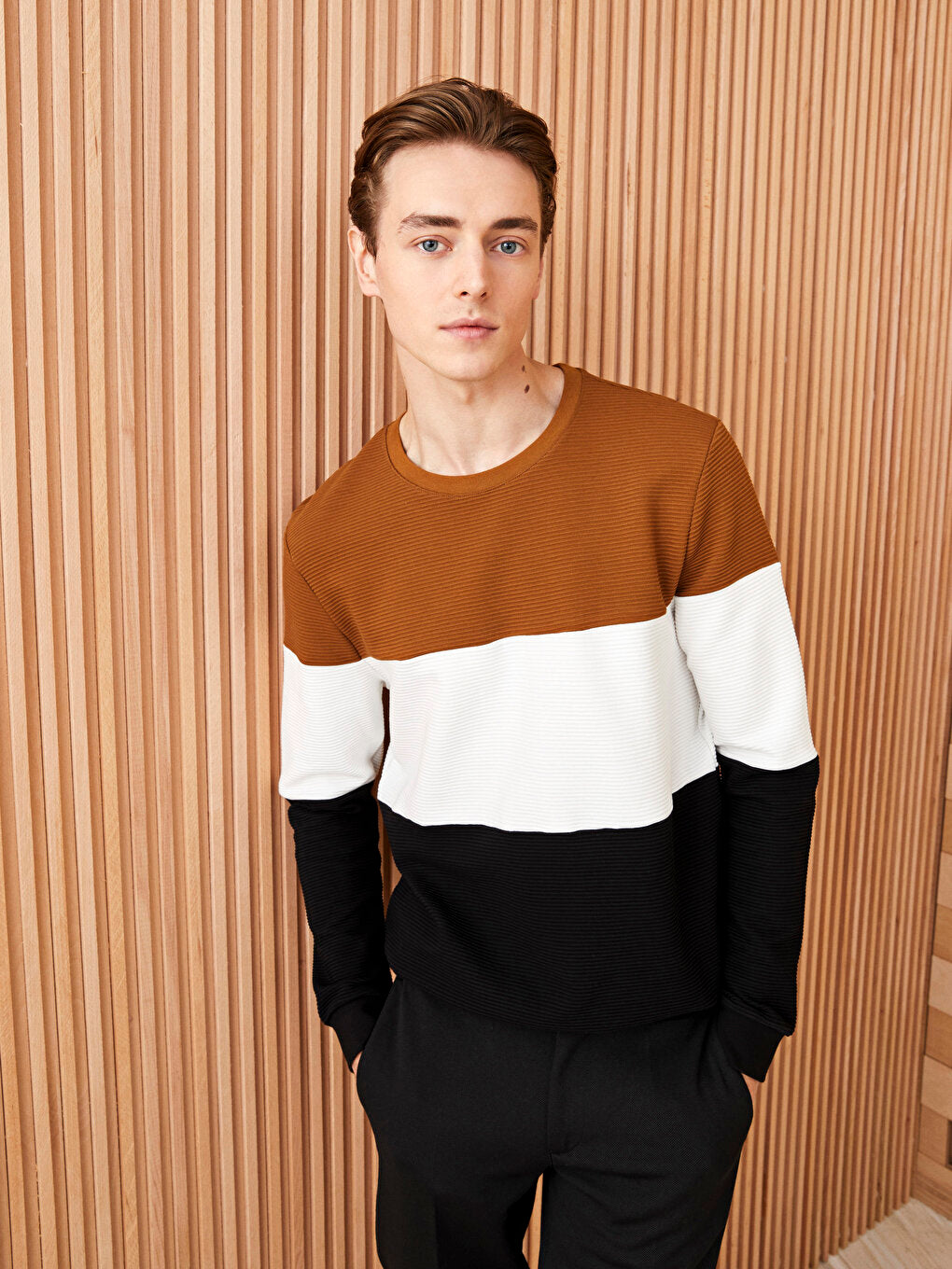 Crew Neck Long Sleeve Color Block Men's Sweatshirt