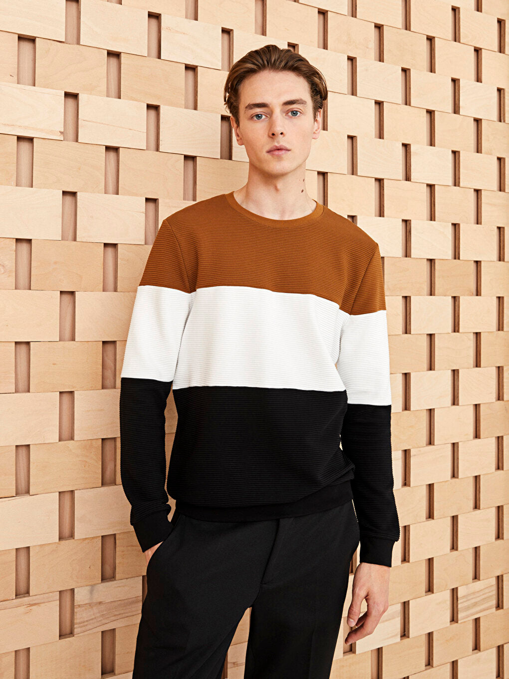 Crew Neck Long Sleeve Color Block Men's Sweatshirt