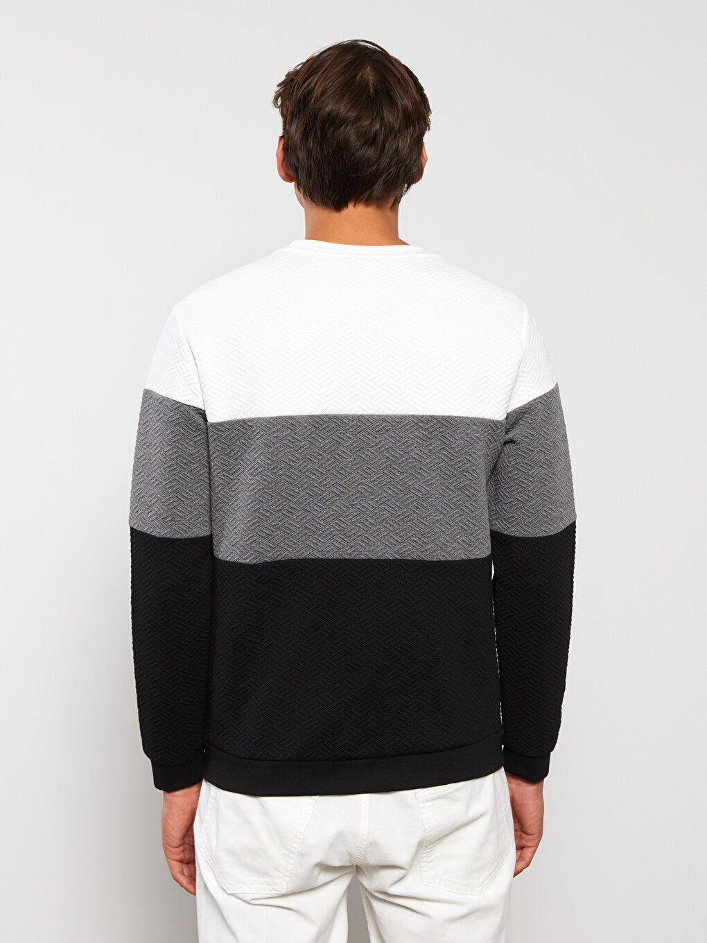 Crew Neck Long Sleeve Color Block Men's Sweatshirt