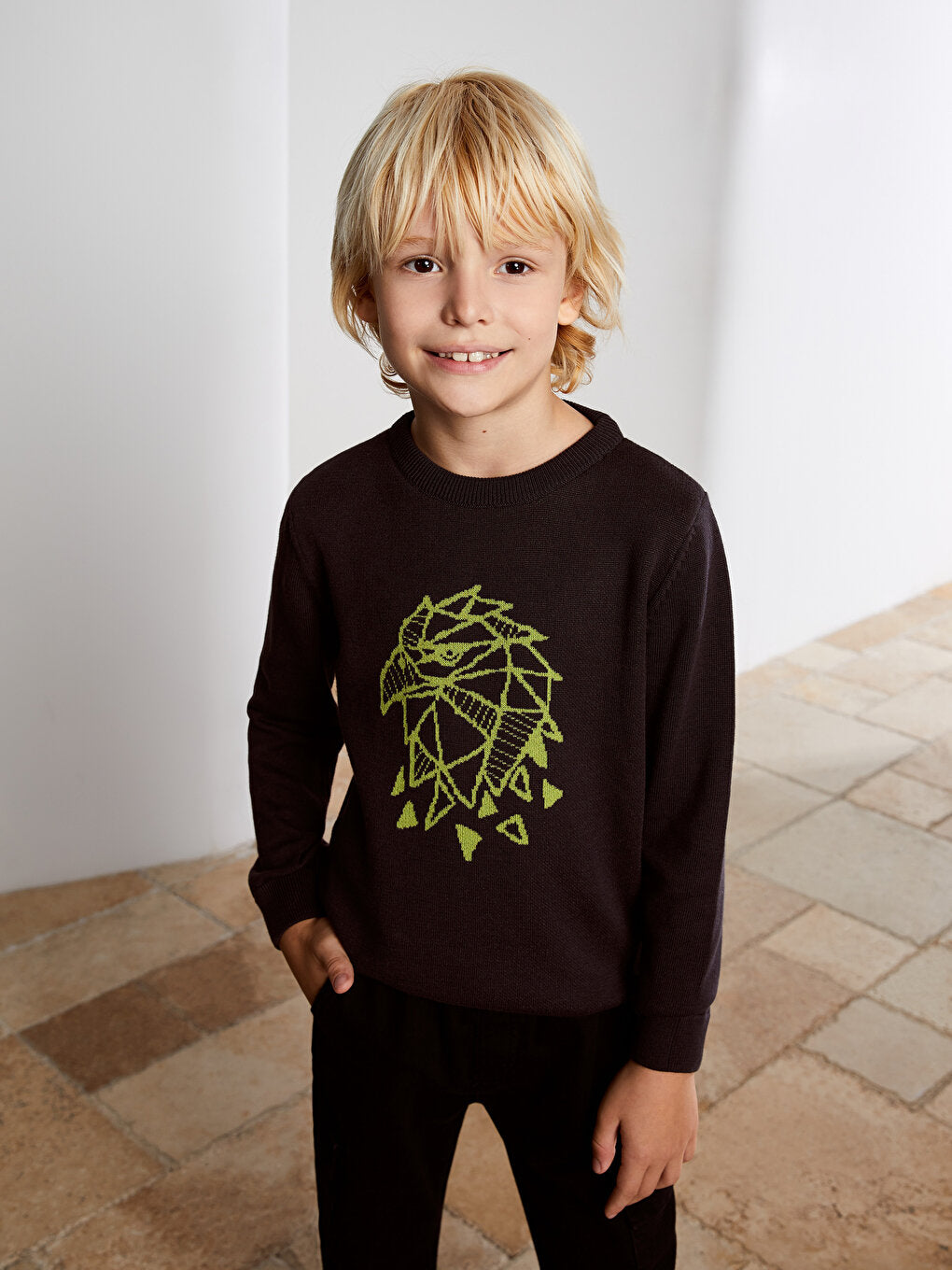 Crew Neck Printed Long Sleeve Boy's Knitwear Sweater