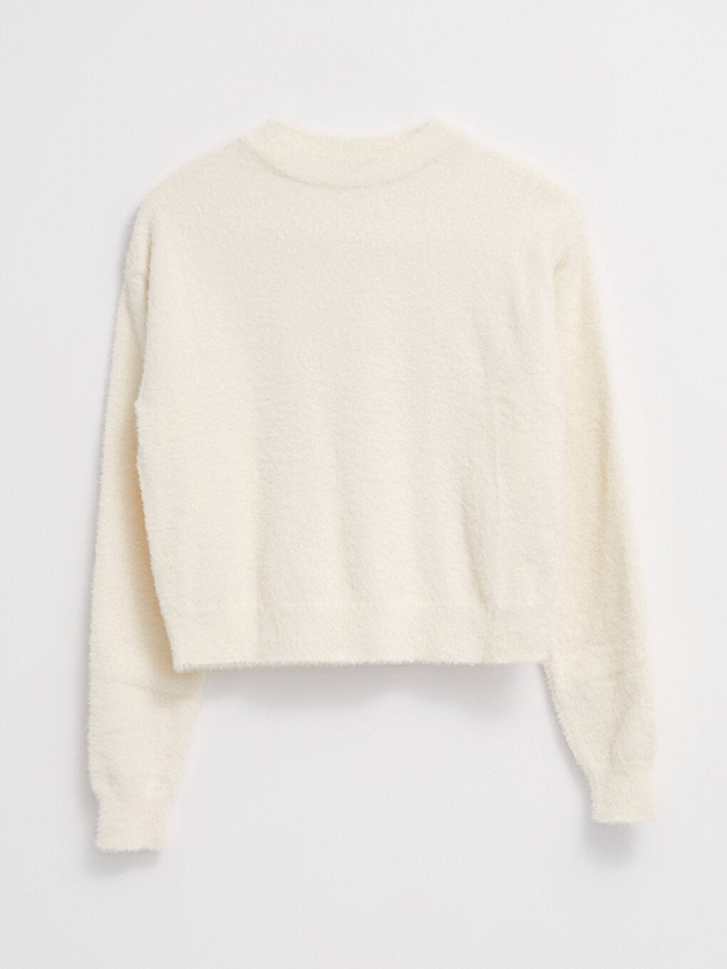 Crew Neck Plain Long Sleeve Women's Knitwear Sweater