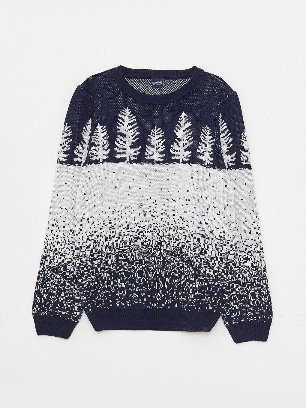 Crew Neck Patterned Long Sleeve Boy's Knitwear Sweater