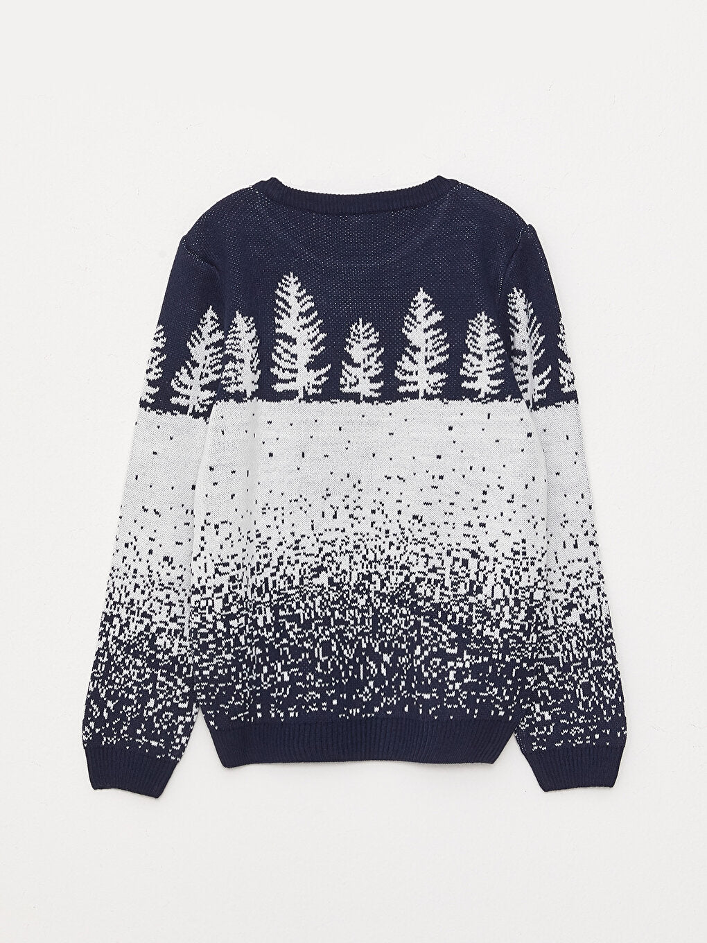 Crew Neck Patterned Long Sleeve Boy's Knitwear Sweater