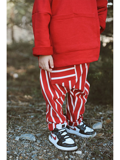 Hooded Long Sleeve Baby Boy Sweatshirt and Harem Pants 2-Piece Set