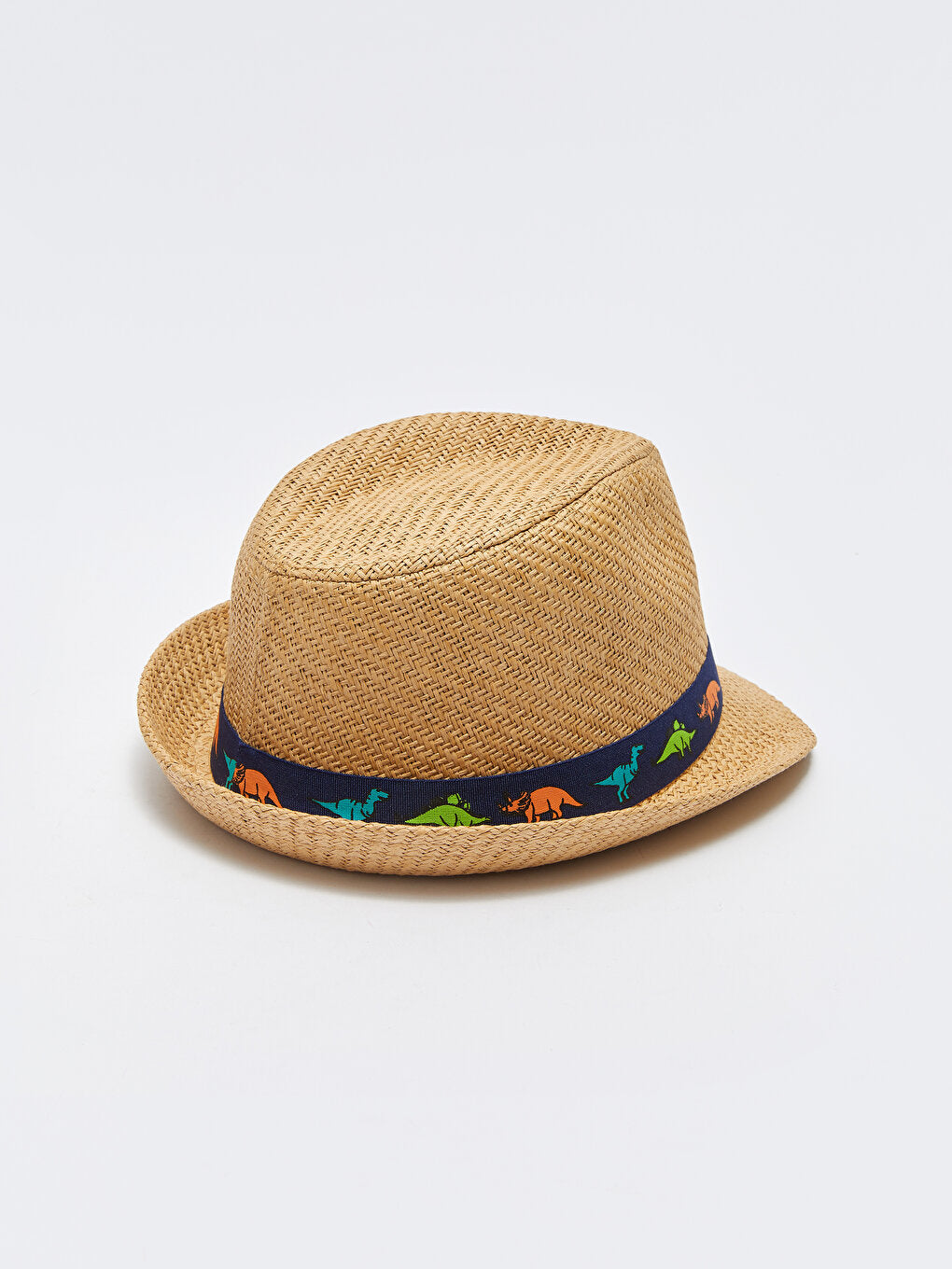 Dinosaur Patterned Boy Straw Fedora Hat