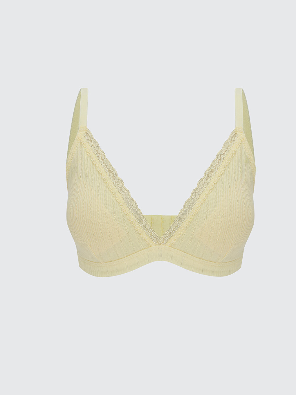 Large Size Non-Wireless Padded Plain Bra