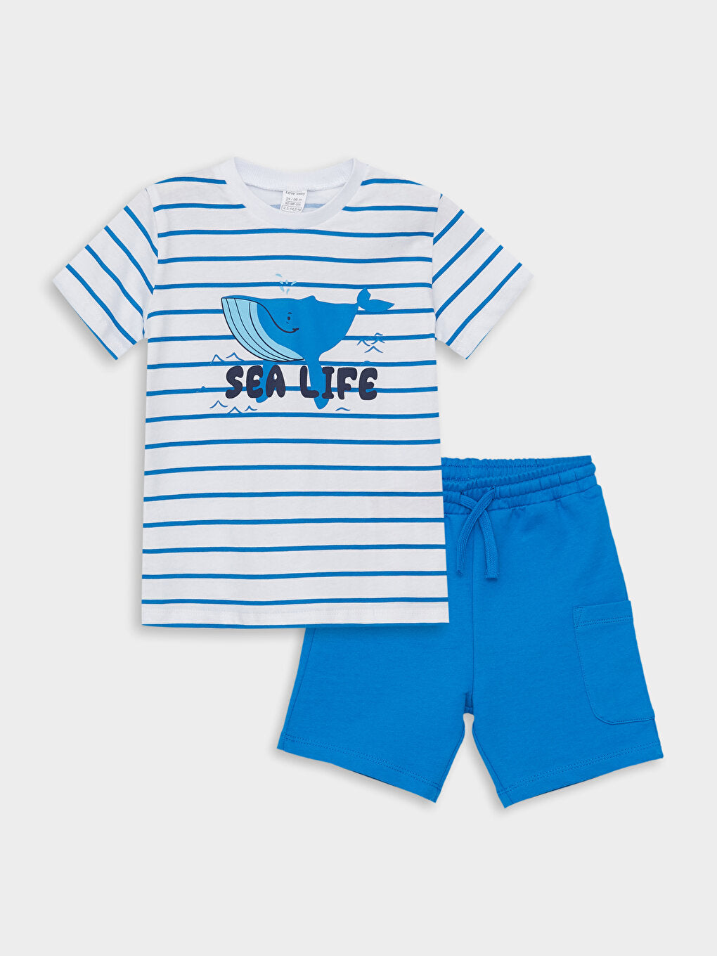 Crew Neck Short Sleeve Baby Boy T-Shirt and Shorts Set of 2