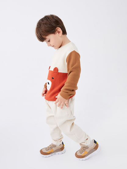 Crew Neck Long Sleeve Printed Baby Boy Knitwear Sweater