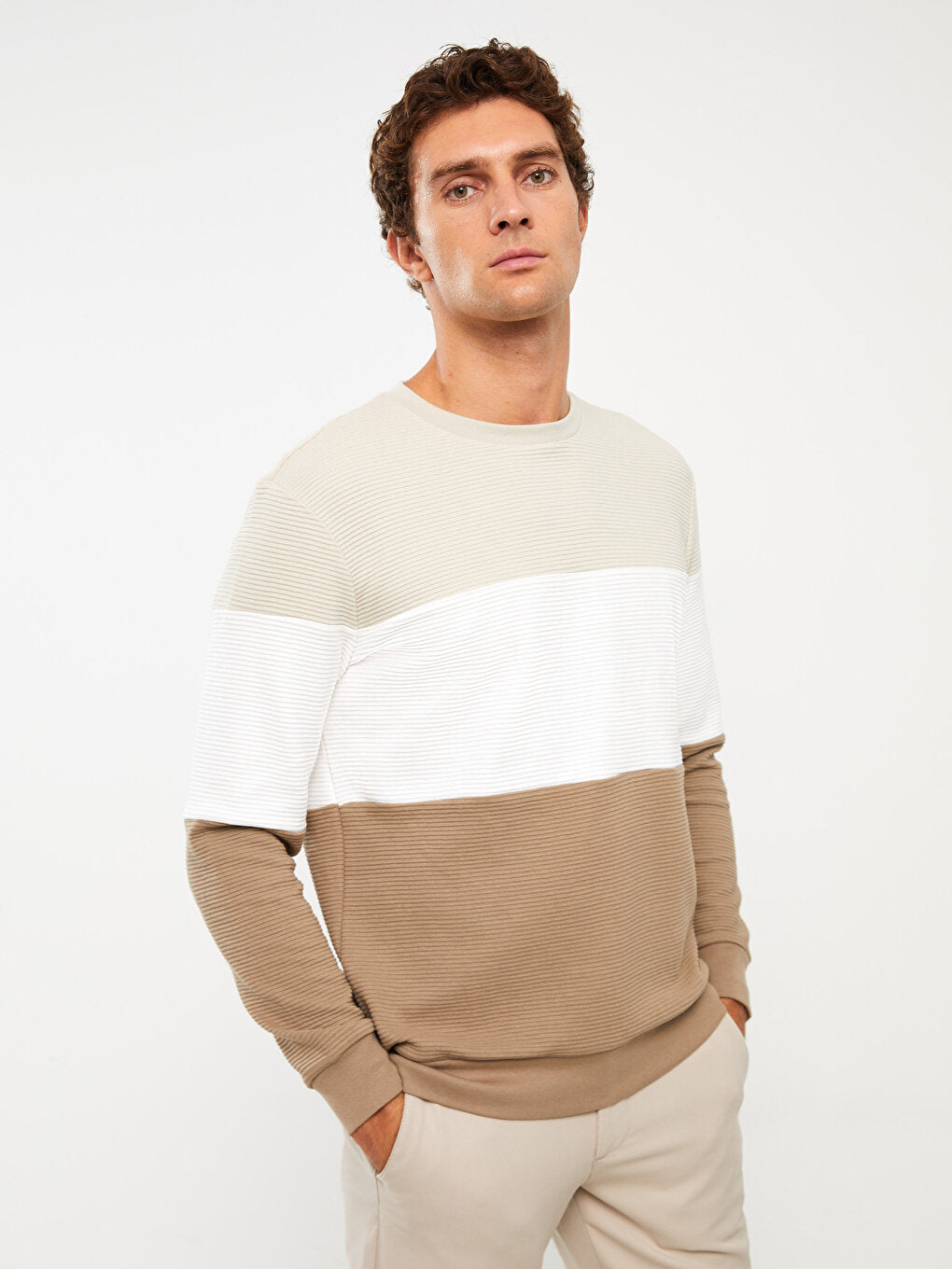 Crew Neck Long Sleeve Color Block Men's Sweatshirt