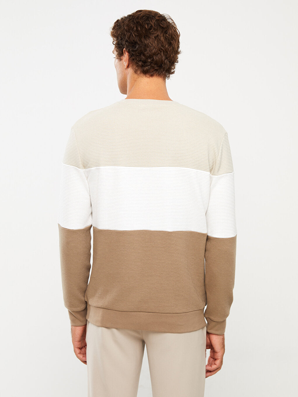 Crew Neck Long Sleeve Color Block Men's Sweatshirt