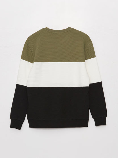 Crew Neck Long Sleeve Color Block Men's Sweatshirt