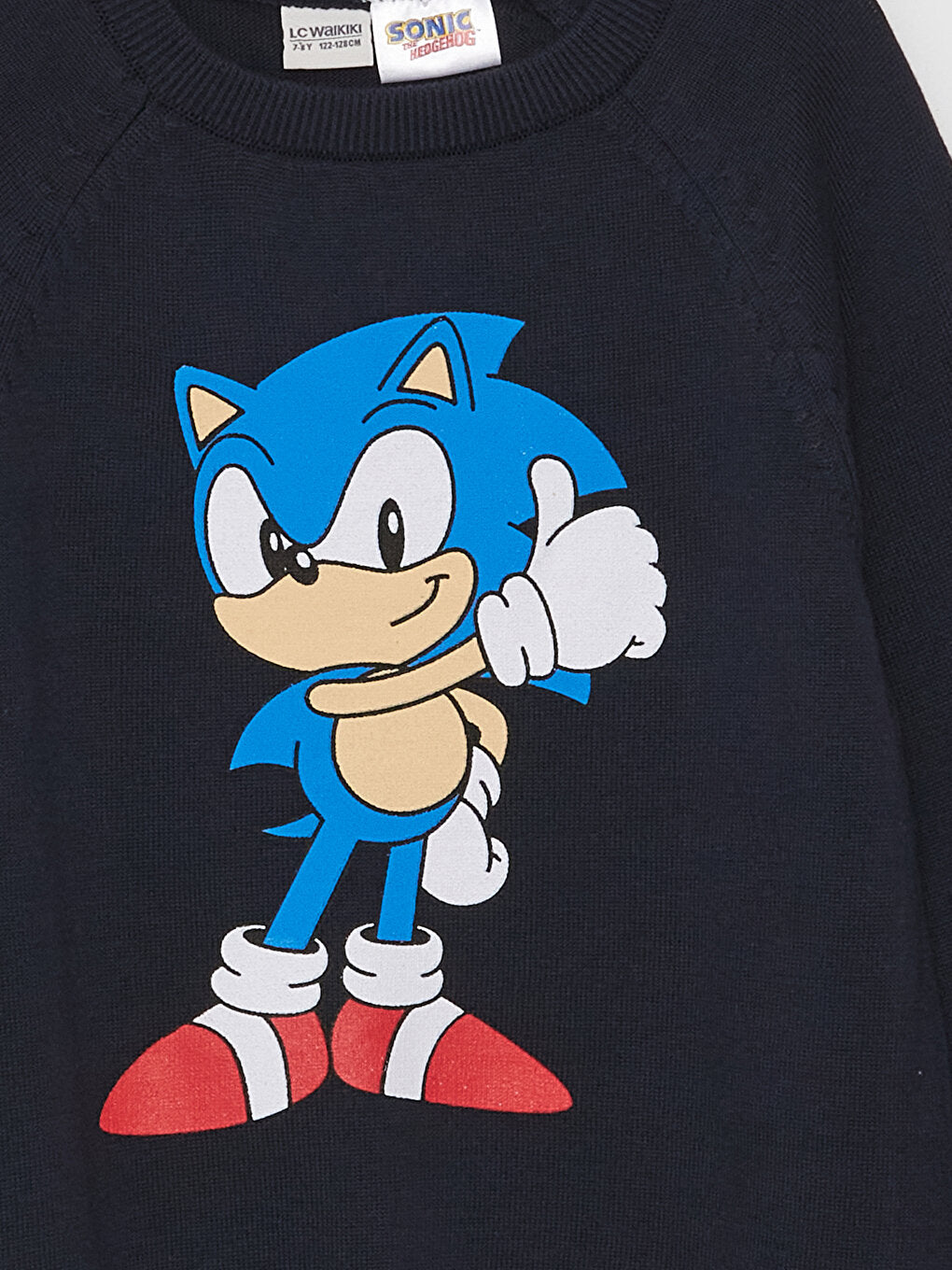 Crew Neck Sonic Printed Long Sleeve Boy's Knitwear Sweater