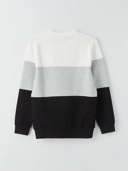 Crew Neck Long Sleeve Color Block Men's Sweatshirt