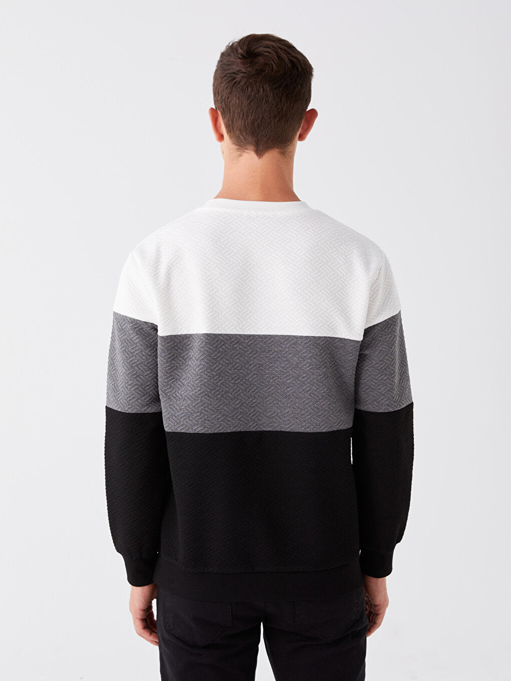 Crew Neck Long Sleeve Color Block Men's Sweatshirt