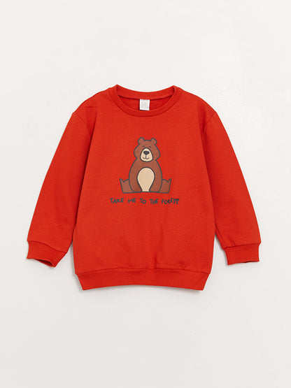 Crew Neck Long Sleeve Printed Baby Boy Sweatshirt Pack of 2