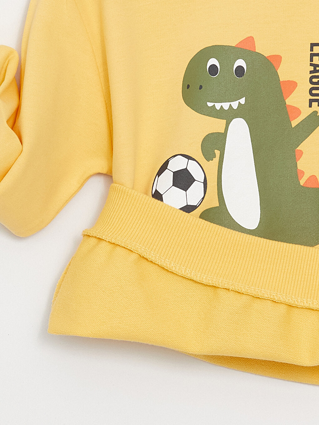 Crew Neck Long Sleeve Dinosaur Printed Baby Boy Sweatshirt and Trousers 2-Piece Set