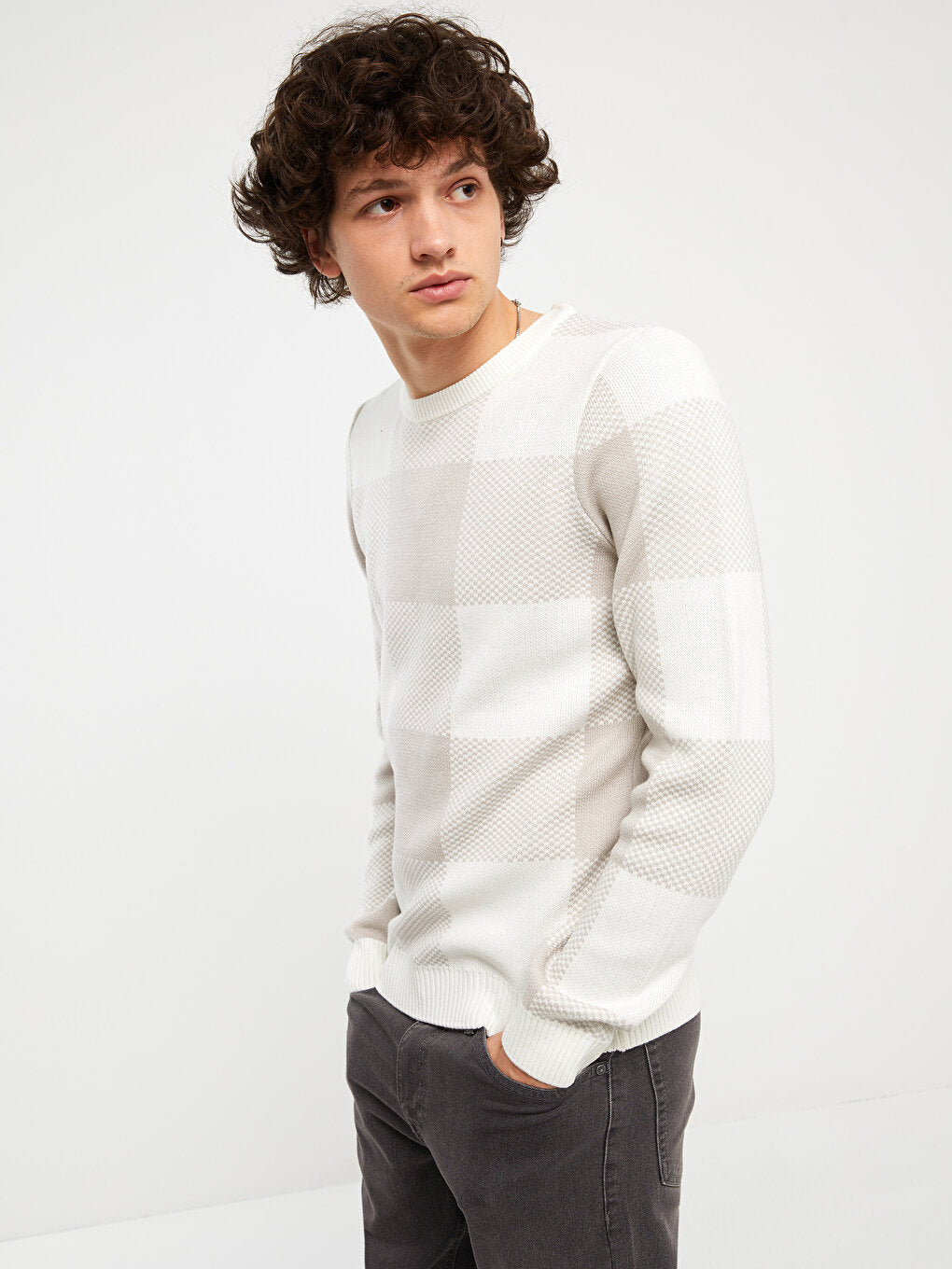 Crew Neck Long Sleeve Plaid Men's Knitwear Sweater