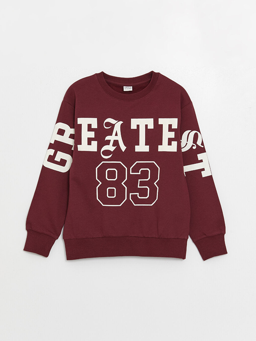 Comfortable Crew Neck Printed Boy's Sweatshirt