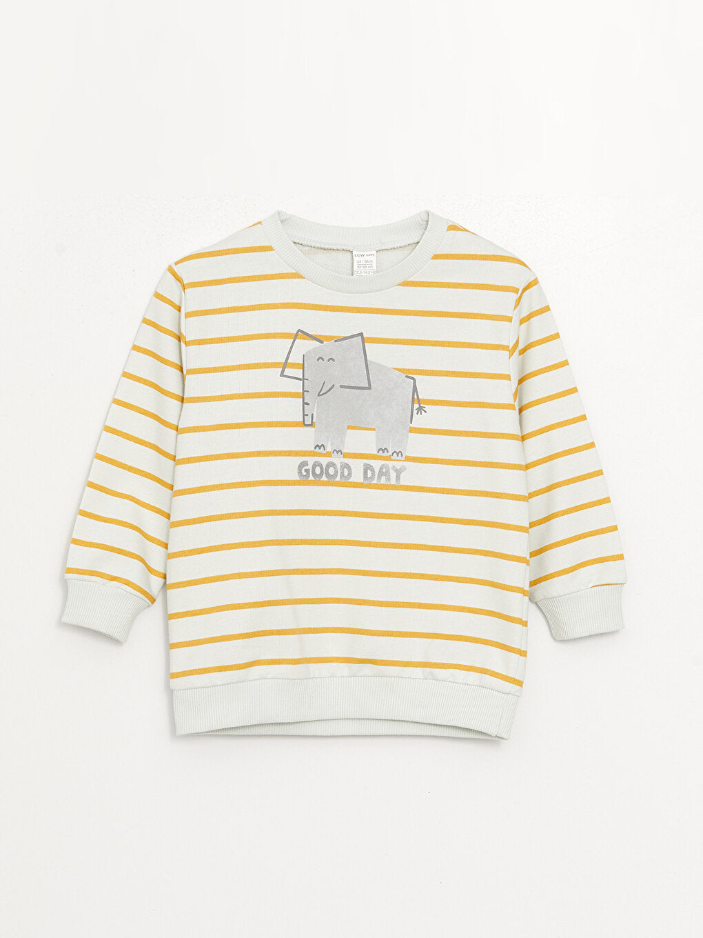 Crew Neck Long Sleeve Baby Boy Sweatshirt and Trousers 2-Piece Set