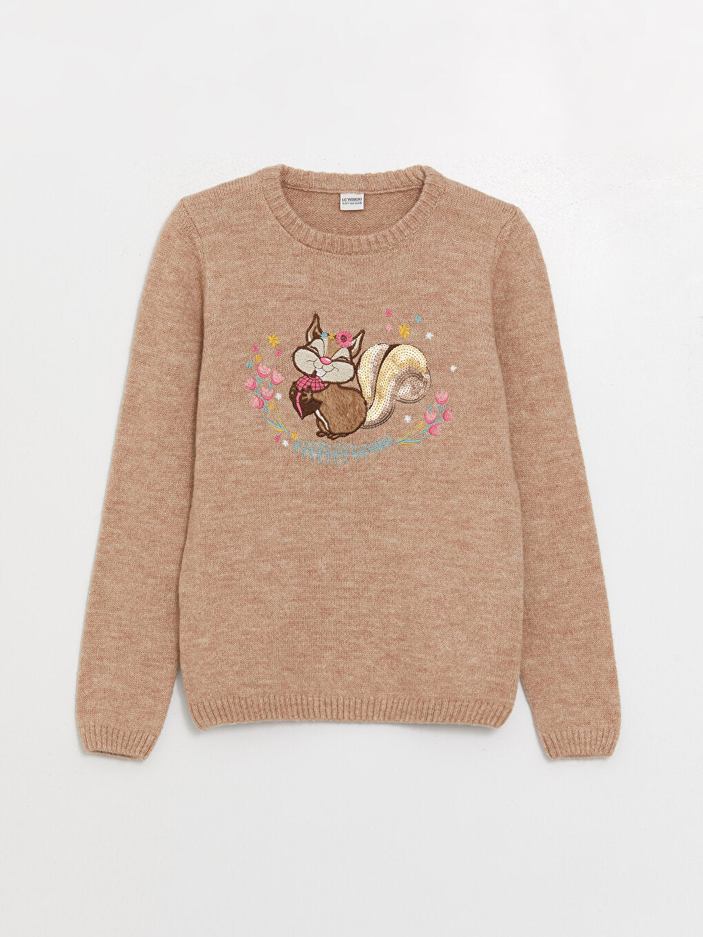 Crew Neck Embroidered Long Sleeve Girl's Knitwear Sweater