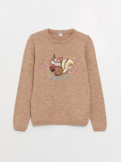 Crew Neck Embroidered Long Sleeve Girl's Knitwear Sweater