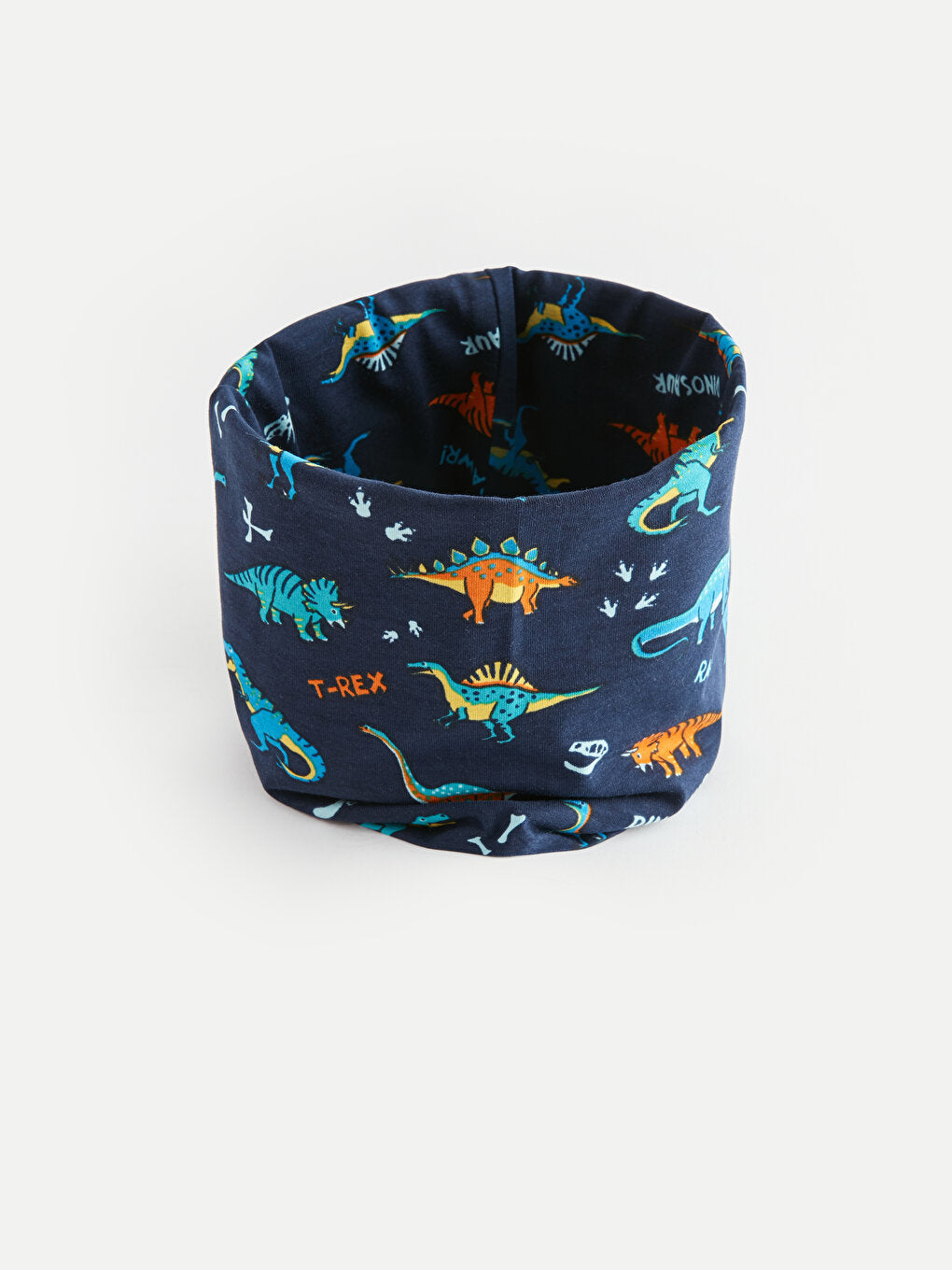 Dinosaur Printed Boy's Neck Collar