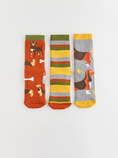 Patterned Boy's Towel Sock Socks 3-pack