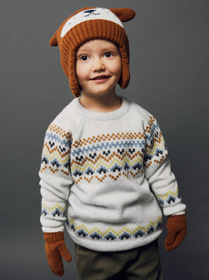 Crew Neck Long Sleeve Patterned Baby Boy Knitwear Sweater