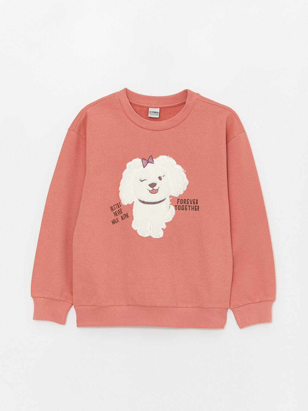 Crew Neck Embroidered Long Sleeve Girl's Sweatshirt