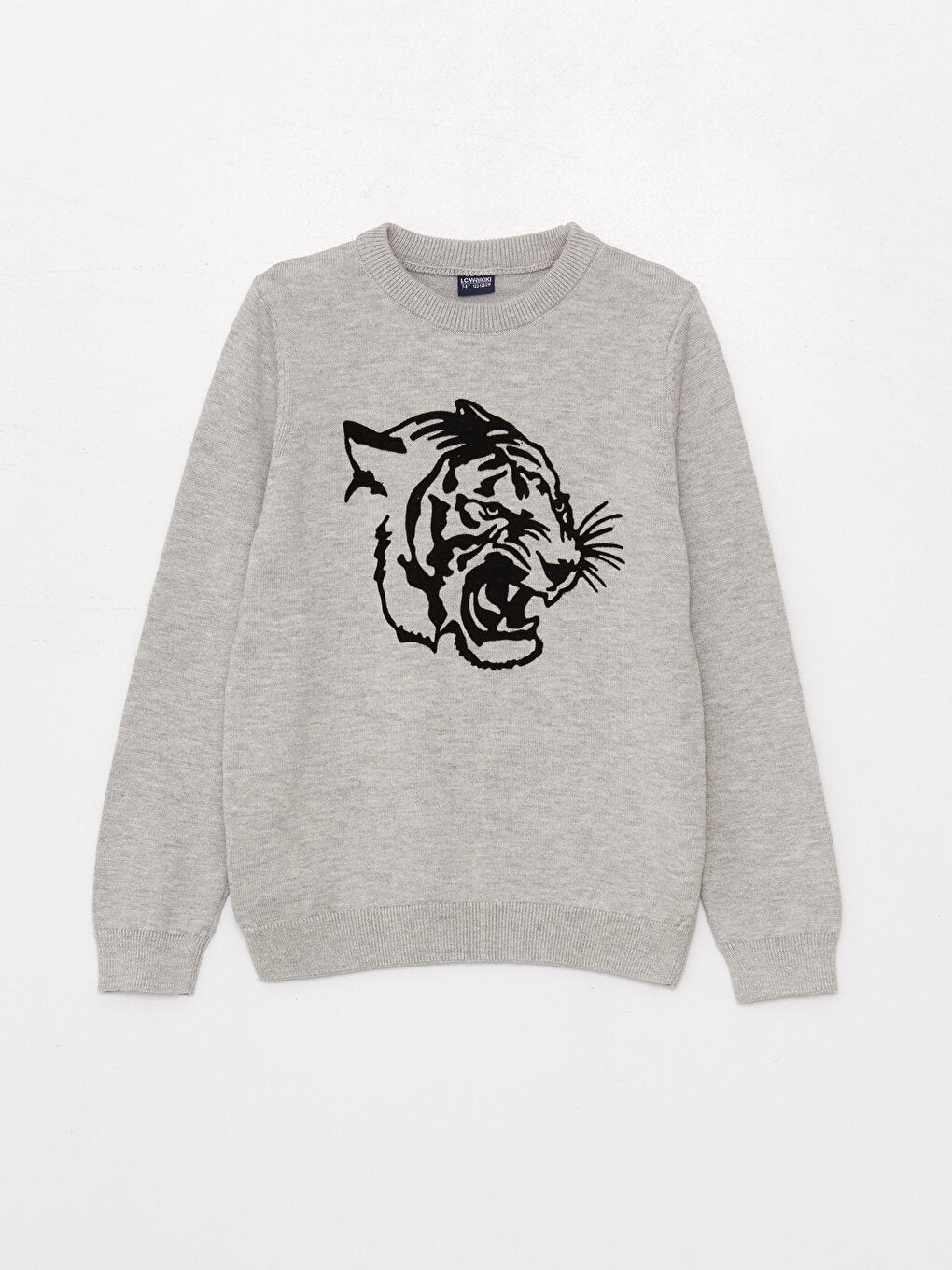 Crew Neck Printed Long Sleeve Boy's Knitwear Sweater