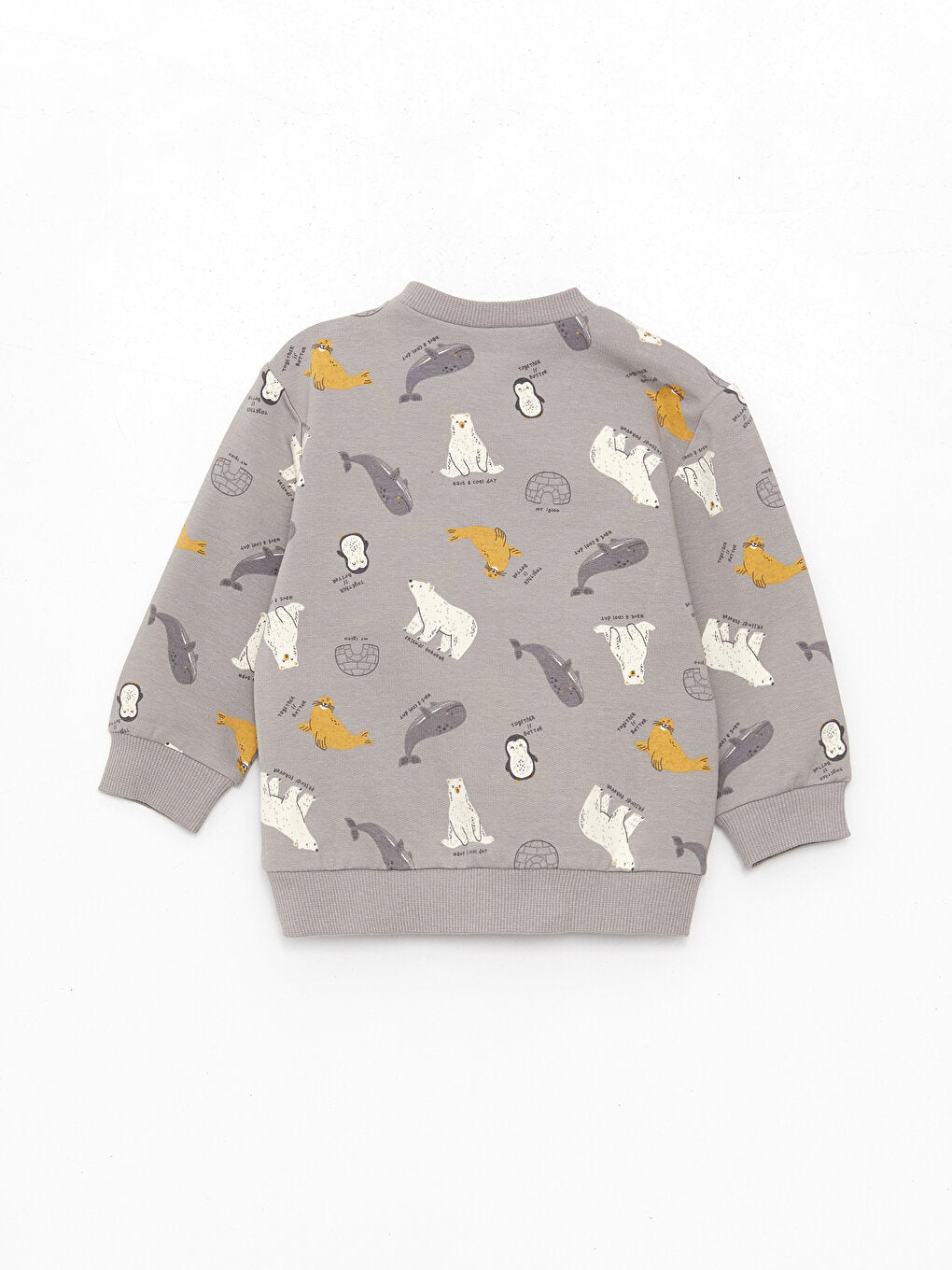 Crew Neck Long Sleeve Printed Baby Boy Sweatshirt and Tights 2-Piece Set