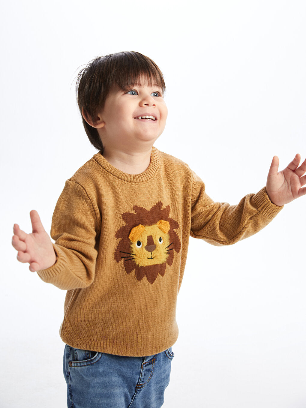 Crew Neck Long Sleeve Patterned Baby Boy Knitwear Sweater